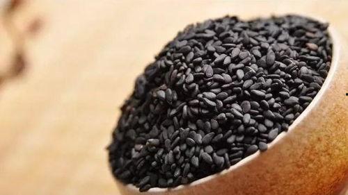 黑料不打料入口,探寻网络世界的真实与虚假-第3张图片-九色视频在线观看