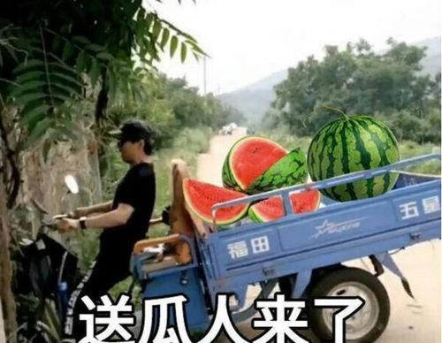 最近大瓜事件,揭秘明星隐私风波背后的真相-第1张图片-九色视频在线观看