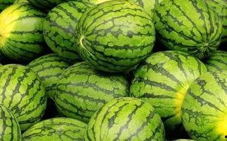 吃瓜网官网免费观看 吃瓜网官网,免费观看，畅享娱乐盛宴-第2张图片-九色视频在线观看