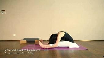 成人瑜伽教程直播视频,跟随专业教练，轻松入门瑜伽练习-第3张图片-九色视频在线观看