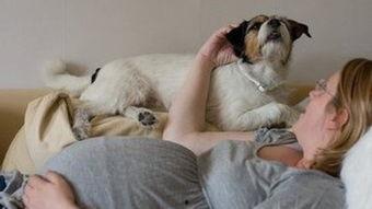 成人爱养宠物有病吗视频,成人养宠物背后的健康之谜-第2张图片-九色视频在线观看