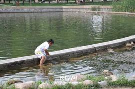 成人水池抓鱼视频,成人版欢乐时光-第1张图片-九色视频在线观看