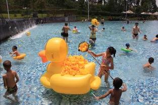 成人水池抓鱼视频,成人版欢乐时光-第2张图片-九色视频在线观看