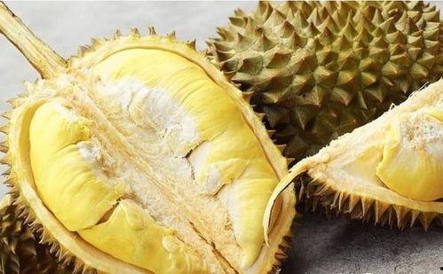 成人榴莲视频 无码免费,无码免费体验的极致诱惑-第3张图片-九色视频在线观看