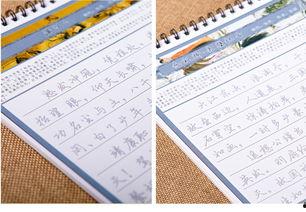 练字成人实体教学视频,一笔一划，成就优雅人生-第1张图片-九色视频在线观看