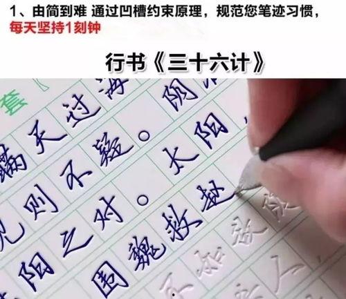 练字成人实体教学视频,一笔一划，成就优雅人生-第3张图片-九色视频在线观看