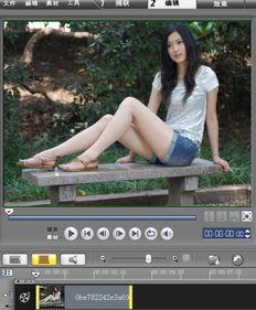 拍视频如何换成人声,轻松实现人声生成与替换技巧-第3张图片-九色视频在线观看