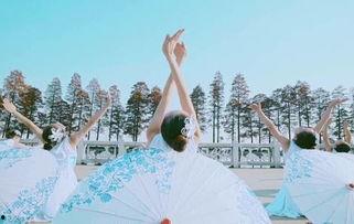 古典舞成人考级视频,舞动人生，传承国韵-第1张图片-九色视频在线观看