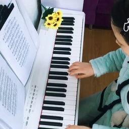 成人钢琴弹琴视频教程-第1张图片-九色视频在线观看