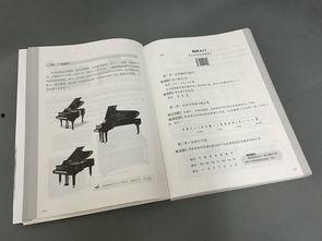 成人钢琴弹琴视频教程-第3张图片-九色视频在线观看