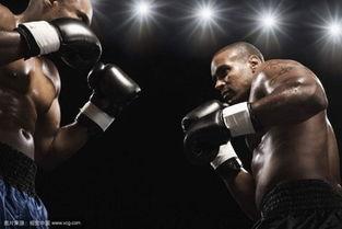 成人拳击日照视频在线观看-第1张图片-九色视频在线观看