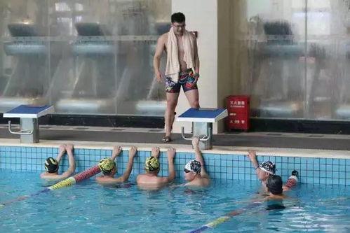 成人泳教学视频,跟随教学视频学游泳-第2张图片-九色视频在线观看