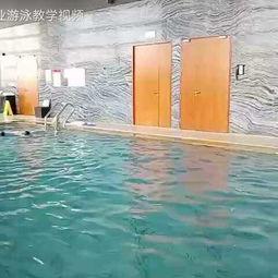 成人泳教学视频,跟随教学视频学游泳-第3张图片-九色视频在线观看