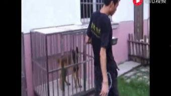 成人蹲便训练教程视频,视频教学全解析-第2张图片-九色视频在线观看