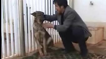 成人蹲便训练教程视频,视频教学全解析-第3张图片-九色视频在线观看