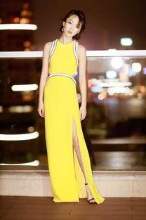 成人礼服露腿视频,时尚与性感的完美融合-第3张图片-九色视频在线观看