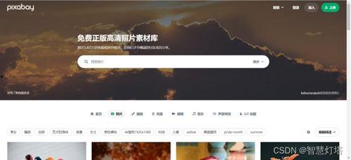 成人线上视频素材无水印,无水印背后的故事-第1张图片-九色视频在线观看