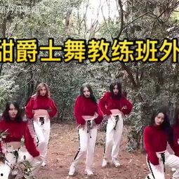 成人舞蹈拍摄教室视频,成人舞蹈教室精彩瞬间回顾-第2张图片-九色视频在线观看