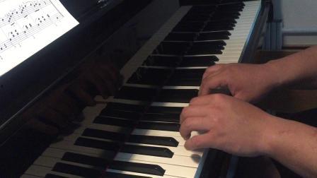 成人钢琴表演视频教学,跟随大师步伐，掌握演奏技巧-第1张图片-九色视频在线观看