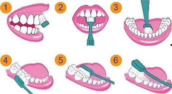 成人刷牙日常视频大全播放,跟随刷牙日常视频，解锁健康笑容秘诀-第3张图片-九色视频在线观看