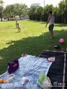 户外野餐成人草坪视频,捕捉自然与美食的完美邂逅-第2张图片-九色视频在线观看