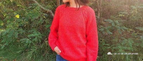 打毛衣教程成人背心视频,成人背心制作教程视频解析-第2张图片-九色视频在线观看 打毛衣教程成人背心视频,成人背心制作教程视频解析-第2张图片-九色视频在线观看