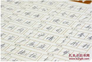 成人行书书法练字视频,跟随成人行书书法练字视频，领略书法之美-第1张图片-九色视频在线观看