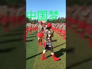 高歌成人舞蹈视频,动感舞步，释放激情的魅力之旅-第1张图片-九色视频在线观看