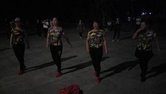 高歌成人舞蹈视频,动感舞步，释放激情的魅力之旅-第2张图片-九色视频在线观看