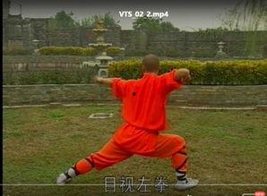 成人拳击武术视频大全-第2张图片-九色视频在线观看