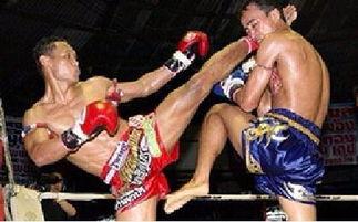 成人拳击武术视频大全-第3张图片-九色视频在线观看