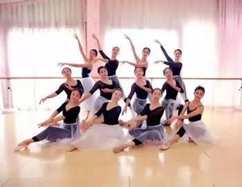 成人舞蹈面试视频教学,技巧解析与教学启示-第1张图片-九色视频在线观看