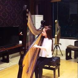 成人学琵琶语视频教学-第2张图片-九色视频在线观看