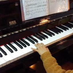 成人学琵琶语视频教学-第3张图片-九色视频在线观看